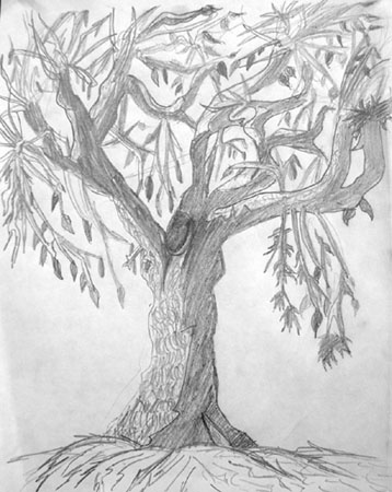 alex.tree