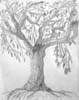 alex.tree
