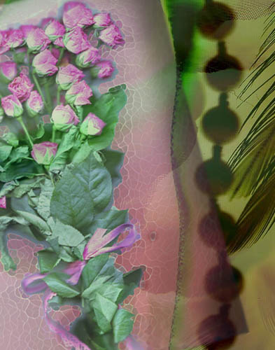 Scanner as a camera 4