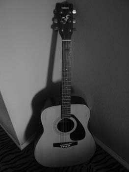 guiter